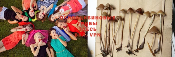 гашиш Тутаев