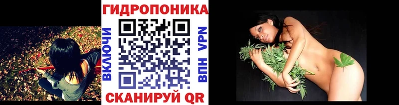 гидра сайт  Лодейное Поле  Шишки марихуана AK-47 